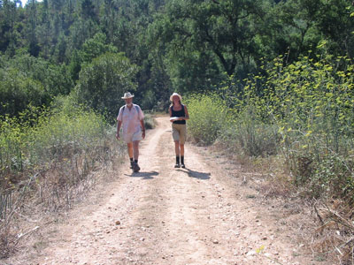 Ook in het najaar bloeien er veel bloemen.