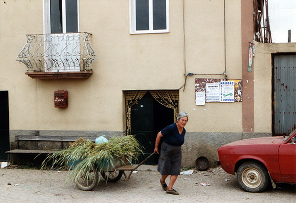 De Taberna van Tia Ermelinda, 1995