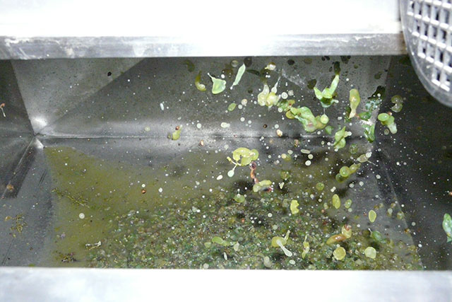 Pulp komt uit de vermaler