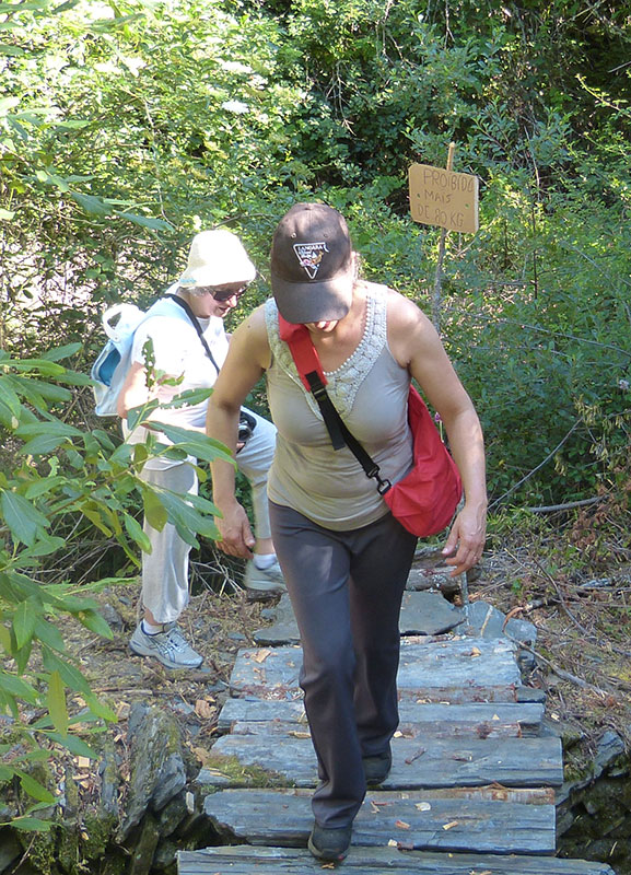 Deze brug is speciaal voor de wandeling getimmerde van boomstammetjes. Op het bordje staat: 'Verboden voor meer dan 80 kg'.