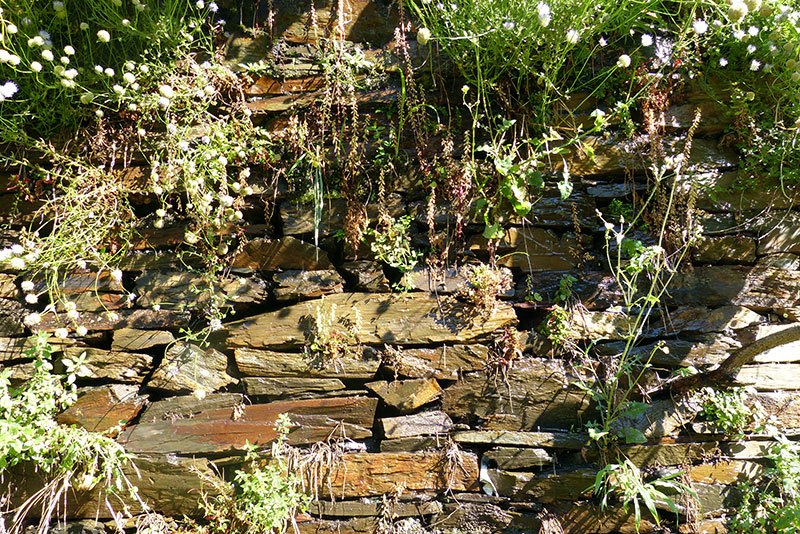 Mooie muur van leisteen: zo zijn er hier nog veel.