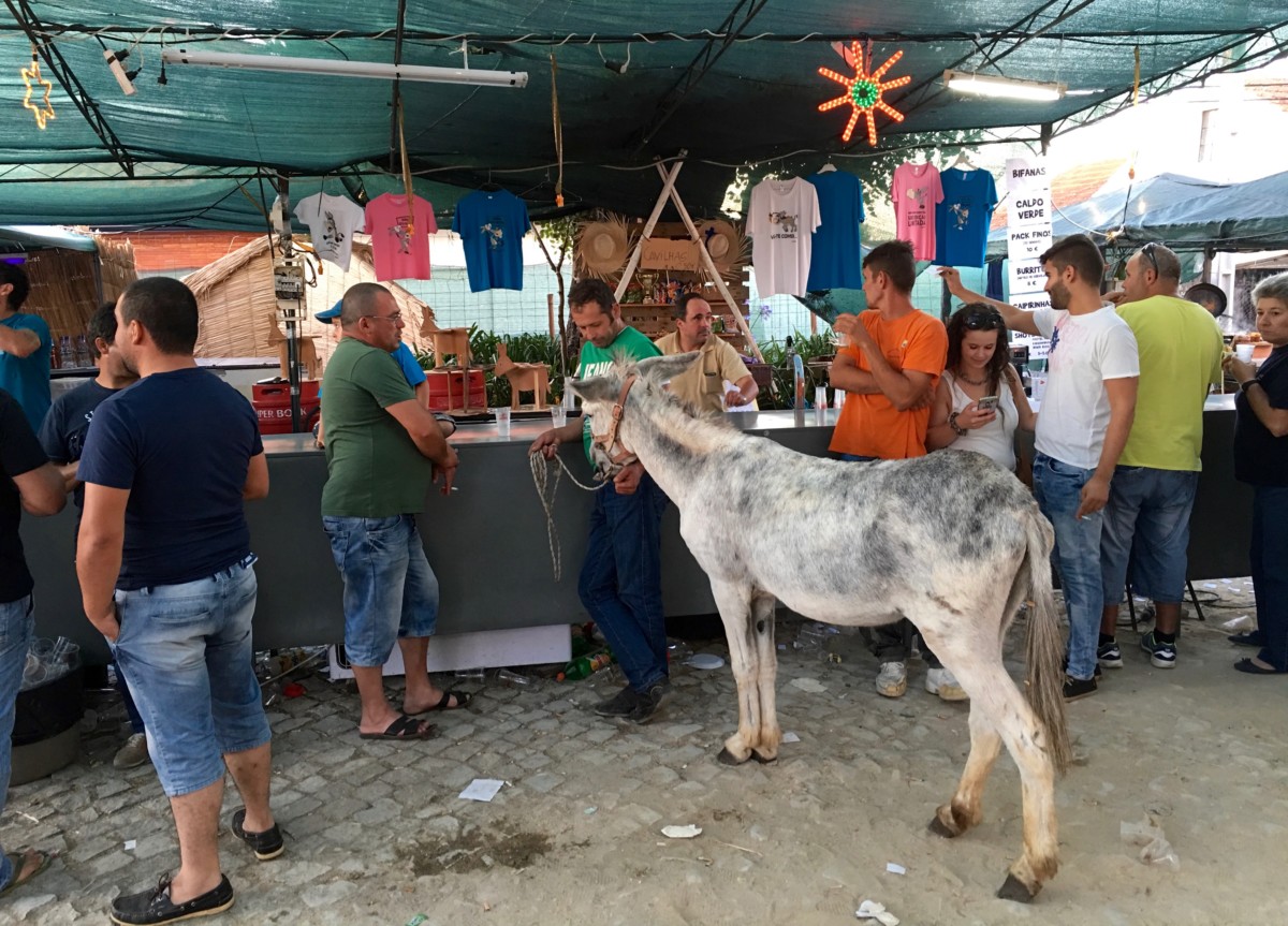 Na de ezelrace staat een man met zijn ezel aan de bar