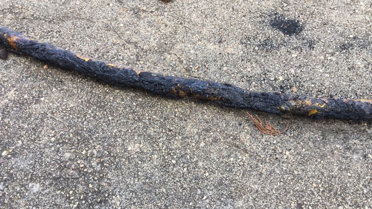 De tuinslang, na de brand